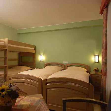 Zum Burghof Otel 3*